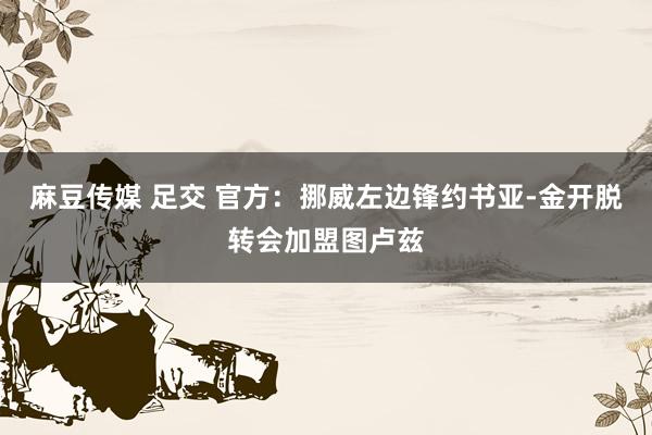 麻豆传媒 足交 官方：挪威左边锋约书亚-金开脱转会加盟图卢兹