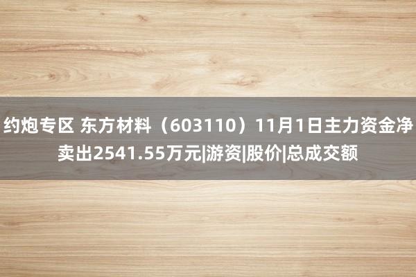 约炮专区 东方材料（603110）11月1日主力资金净卖出2541.55万元|游资|股价|总成交额